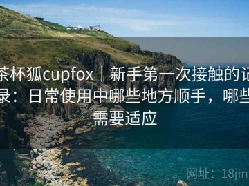 茶杯狐cupfox｜新手第一次接触的记录：日常使用中哪些地方顺手，哪些需要适应