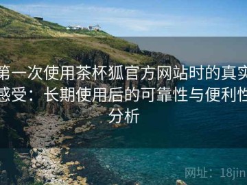 第一次使用茶杯狐官方网站时的真实感受：长期使用后的可靠性与便利性分析