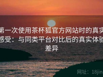 第一次使用茶杯狐官方网站时的真实感受：与同类平台对比后的真实体验差异