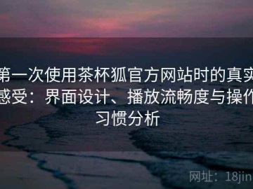 第一次使用茶杯狐官方网站时的真实感受：界面设计、播放流畅度与操作习惯分析