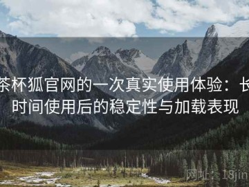 茶杯狐官网的一次真实使用体验：长时间使用后的稳定性与加载表现