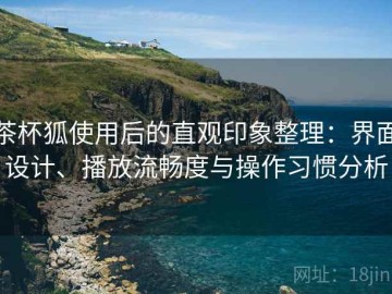 茶杯狐使用后的直观印象整理：界面设计、播放流畅度与操作习惯分析