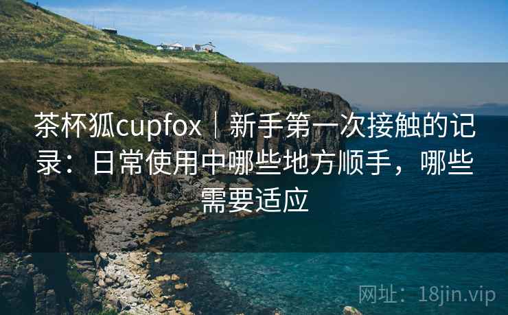 茶杯狐cupfox|新手第一次接触的记录:日常使用中哪些地方顺手,哪些需要适应 茶杯狐cupfox|新手第一次接触的记录:日常使用中哪些地方顺手,哪些需要适应