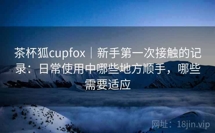 茶杯狐cupfox|新手第一次接触的记录:日常使用中哪些地方顺手,哪些需要适应 茶杯狐cupfox|新手第一次接触的记录:日常使用中哪些地方顺手,哪些需要适应