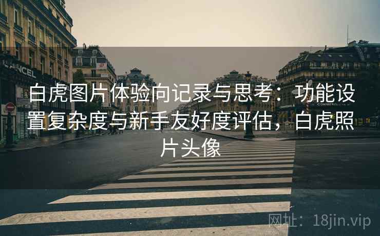 白虎图片体验向记录与思考：功能设置复杂度与新手友好度评估，白虎照片头像