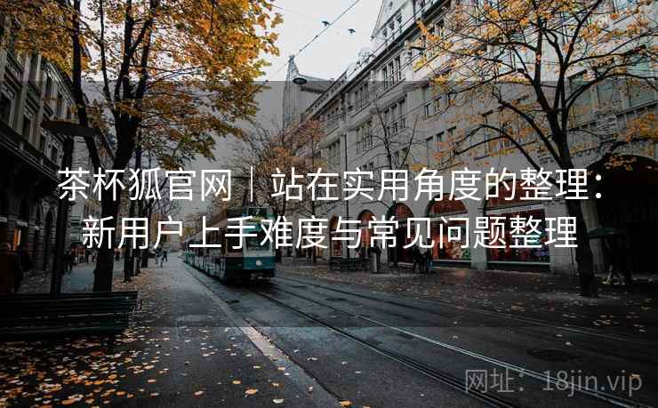 茶杯狐官网｜站在实用角度的整理：新用户上手难度与常见问题整理