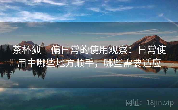 茶杯狐|偏日常的使用观察:日常使用中哪些地方顺手,哪些需要适应 茶杯狐|偏日常的使用观察:日常使用中哪些地方顺手,哪些需要适应